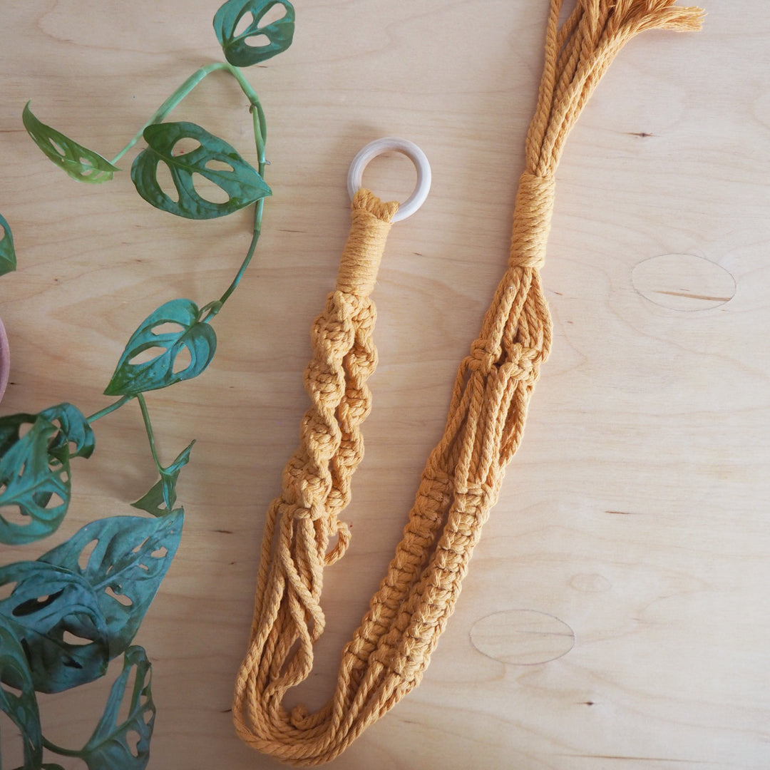Pink plant hanger