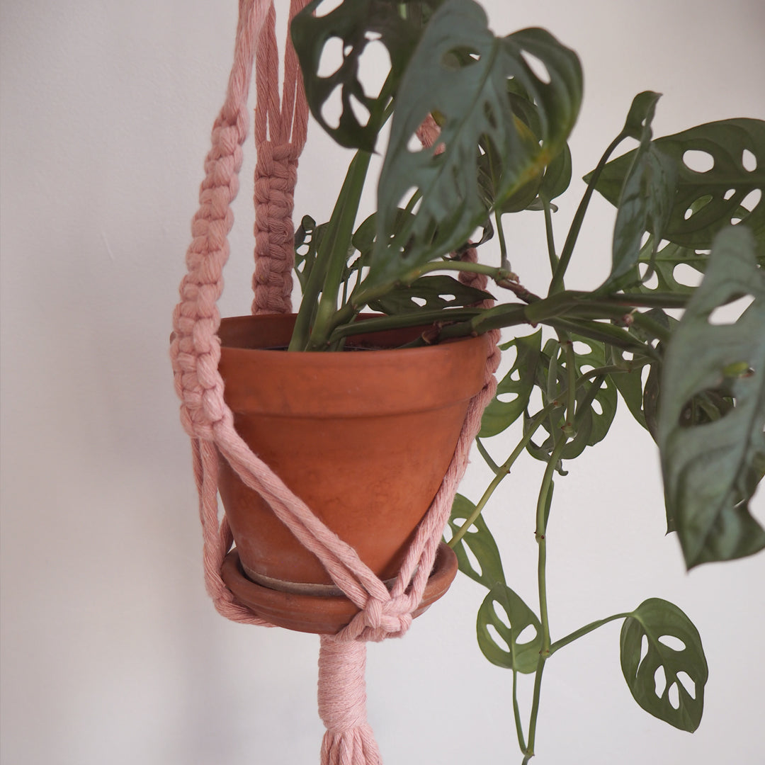 Pink plant hanger