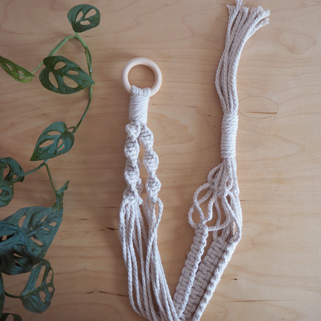 Pink plant hanger
