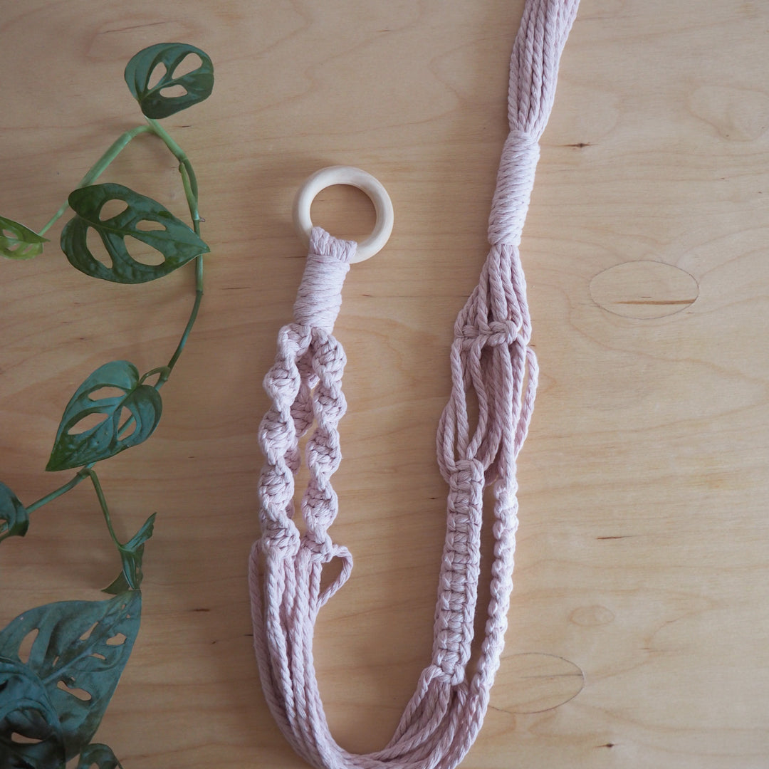 Pink plant hanger