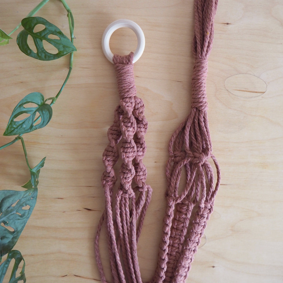 Pink plant hanger
