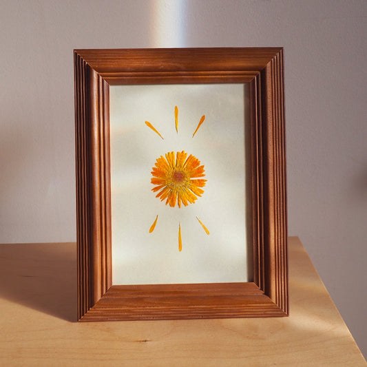 Frame - Protection